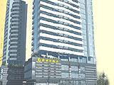 东莞新城市酒店(New City Hotel)
