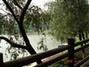 虎英郊野公园